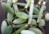 Jadeite beads with gold wire on a dark background