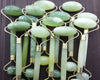 Natural Jade Stone Face Roller for Lymphatic Drainage & Glow
